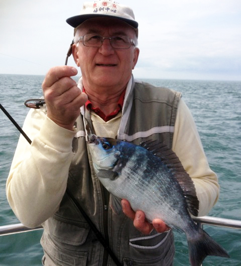 Bream Fishing - Sea Bream - Black Bream